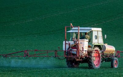 Avoiding Toxins: What is Glyphosate?